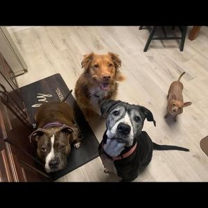 Meet your Posher, Lori